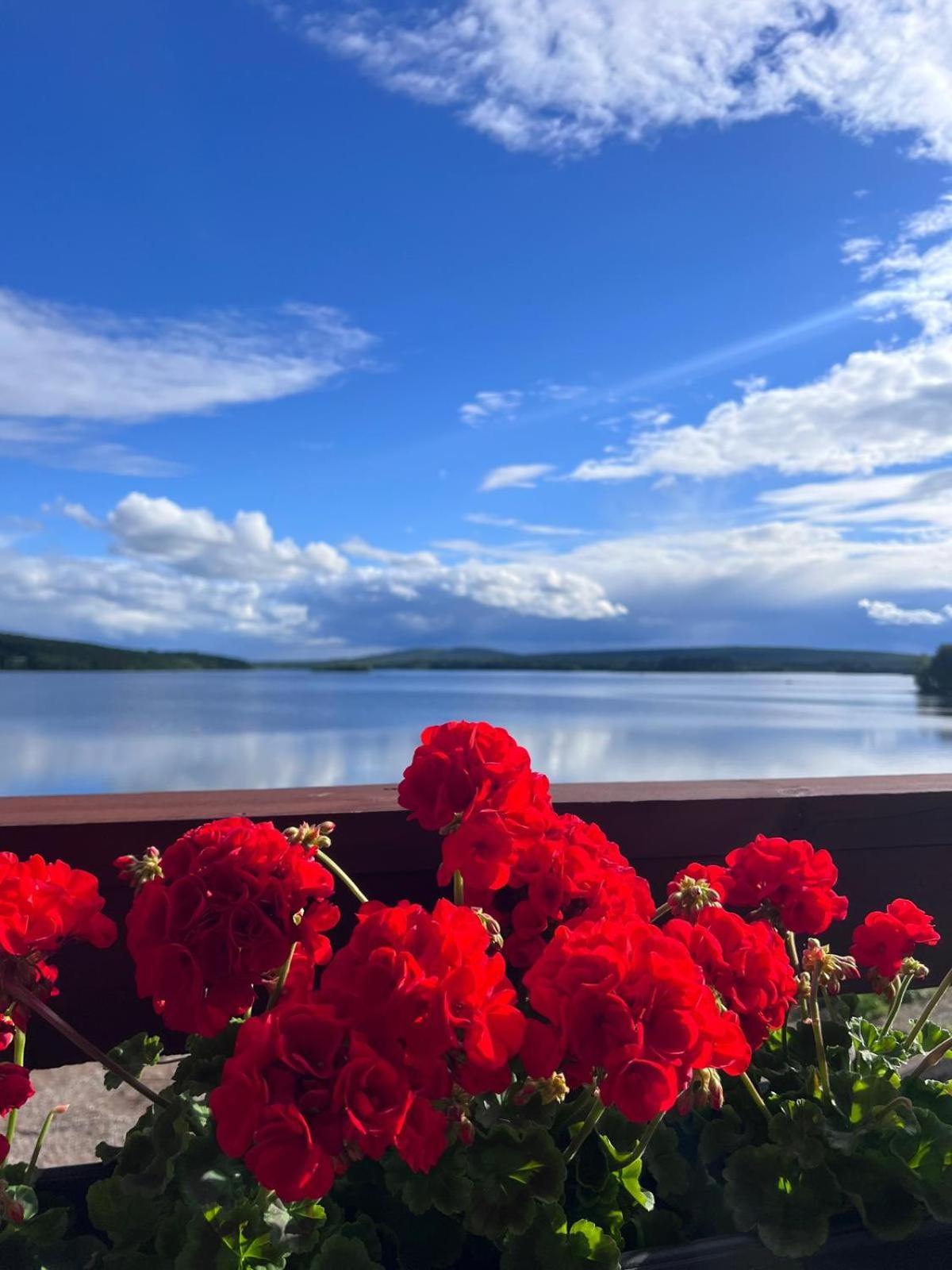 Jauri Resort Kemijärvi Eksteriør billede
